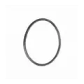 O-ring i svinghjul