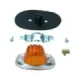 STomgangsys Universal, Amber