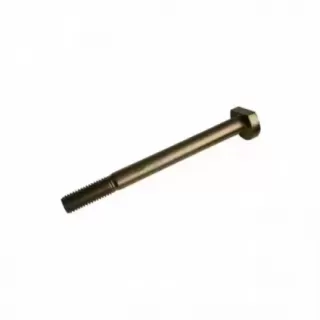 Startmotorbolt M10x110