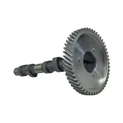 Kamaksel STD