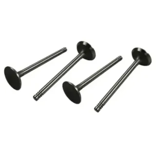 Innsugsventiler 13-1600cc