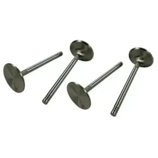 S/S ventiler 44mm