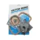 Motorpakningssett, 30 hk, Victor Reinz G