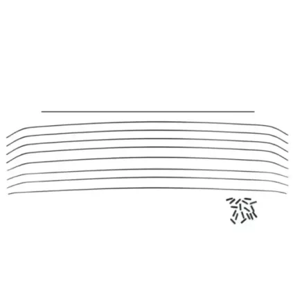 Taktrekk-buer (9.)